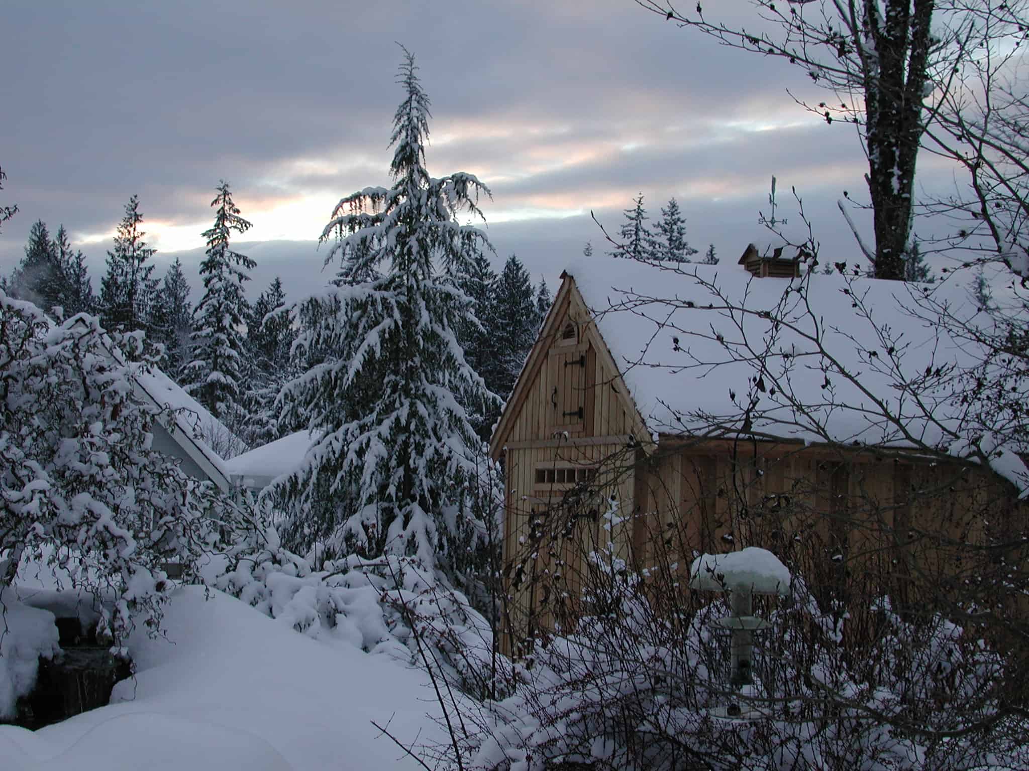 Small comfy Cozy Cabins - Summerwood