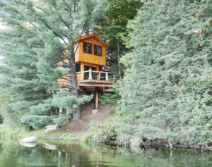 tree house cabin