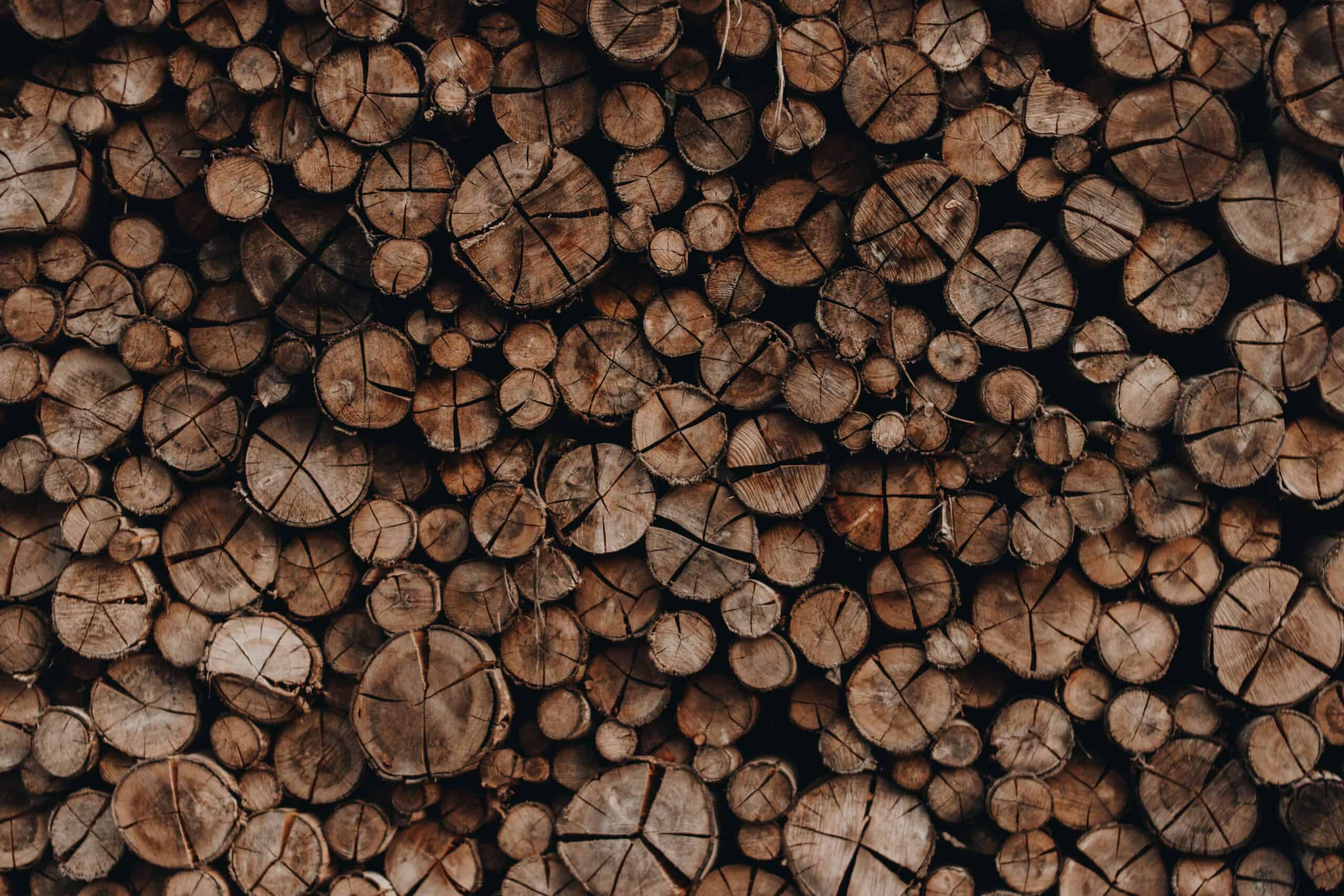 logs