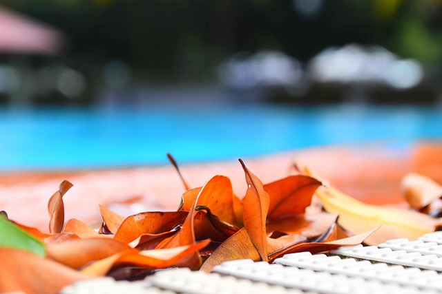 preparing your pool for winter in fall