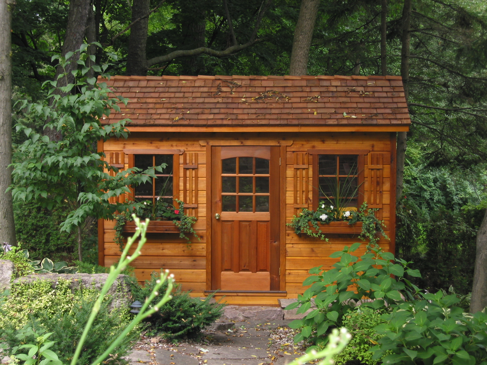 shed in backyard